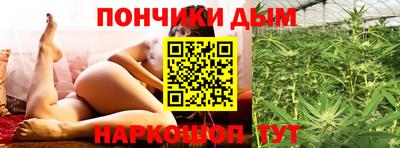 гидра Краснознаменск