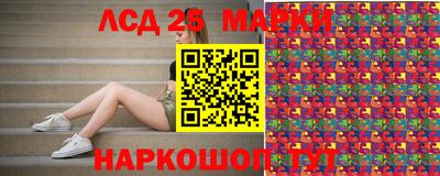 гидра Краснознаменск
