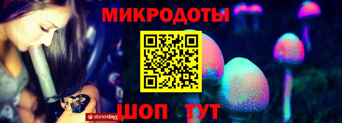Галлюциногенные грибы GOLDEN TEACHER  наркотики  Унеча  Вход с VPN 